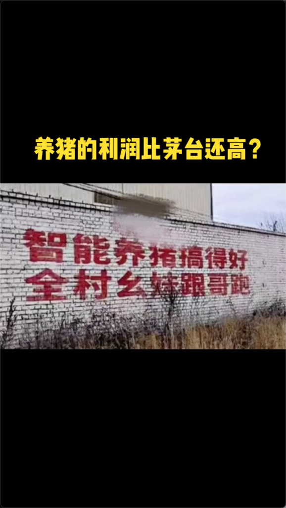 泡财经