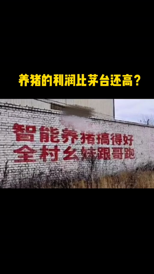 泡财经