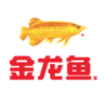 金龙鱼