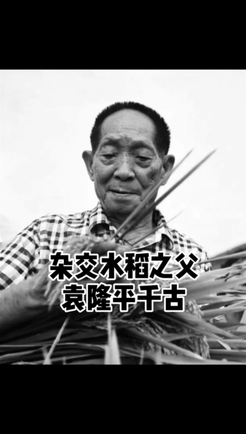 泡财经
