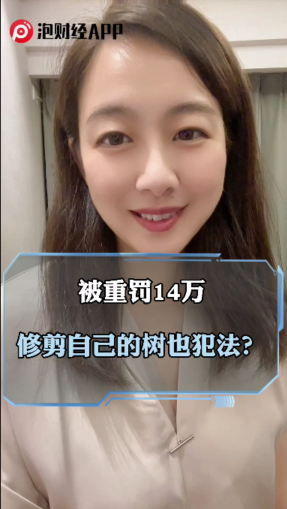 泡财经