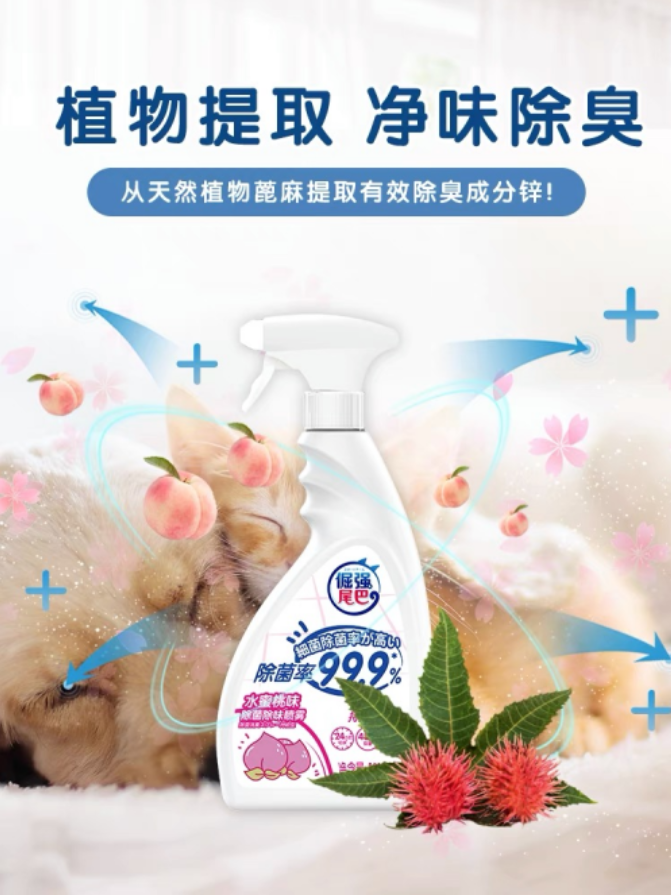 泡财经