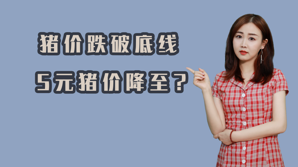 泡财经
