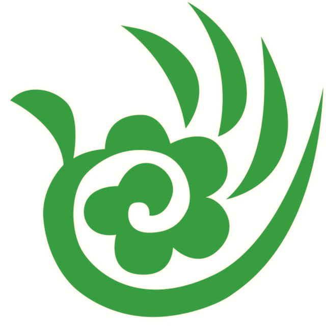 泡财经