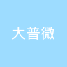 大普微