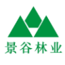 ST景谷