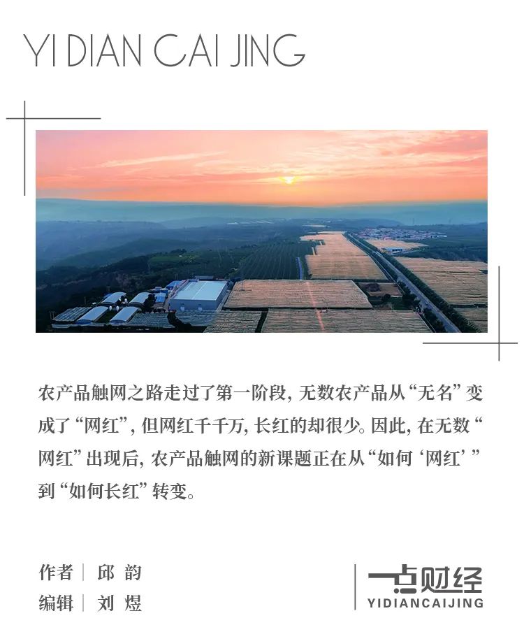从“一时红”到“持久火”,“网红”农产品如何越向“长红”?