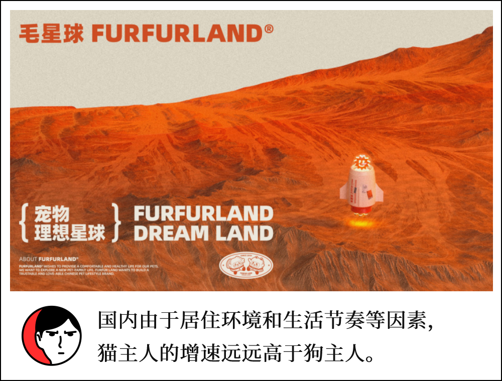 对话「毛星球」徐寅:看好宠物品牌入驻综合商超、宠物友好度决定当地宠物市场规模