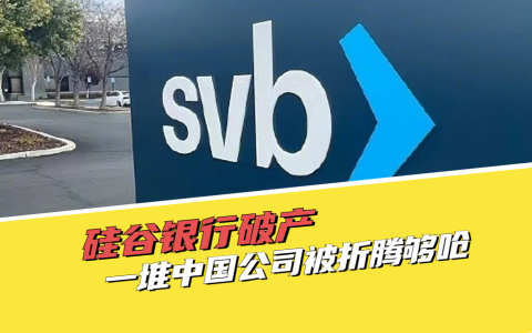 泡财经