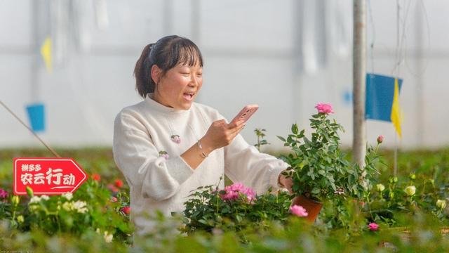 拼多多2022年研发费用破百亿,重投农业科技,满足用户品质需求