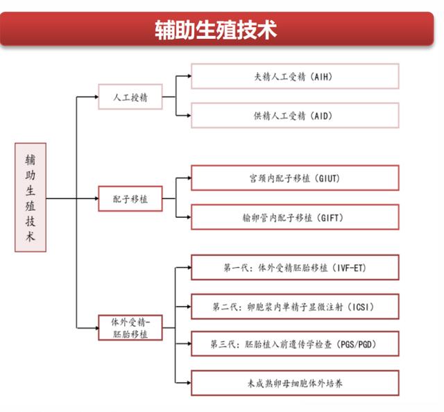深耕20年,民营辅助生殖龙头的慢生意