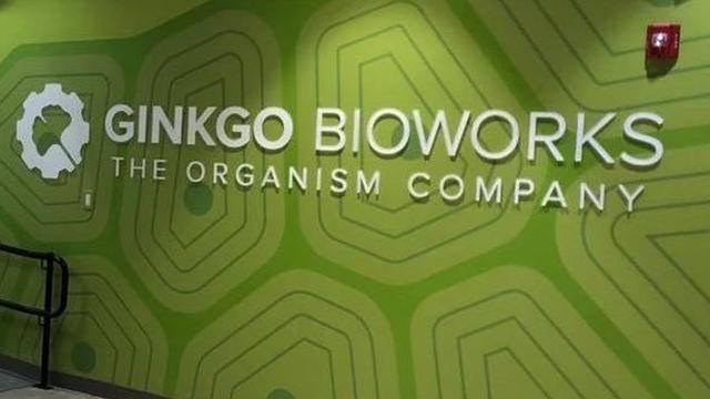 合成生物平台Ginkgo Bioworks收购AAV载体开发公司