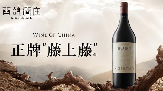 西鸽完成一年内第二笔大额融资，想让世界爱上中国葡萄酒