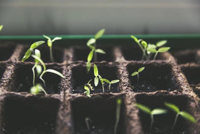 放弃养殖专攻饲料，产量下滑仍扩产，安佑生物IPO打什么算盘？