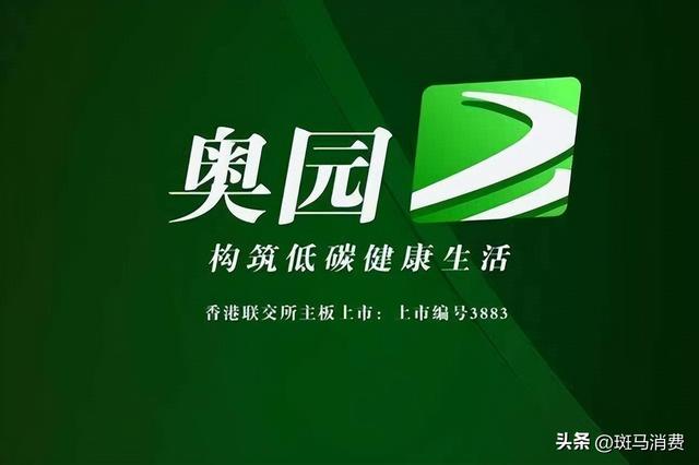 中国奥园,第二个上岸