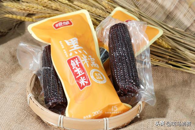 这是一穗,如乌金般珍贵的黑糯玉米