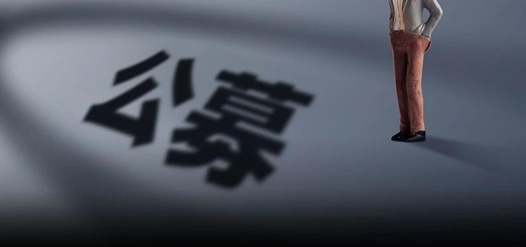 永赢与广发基金成元月公募赢家，最新调研公募明星关注了这些公司