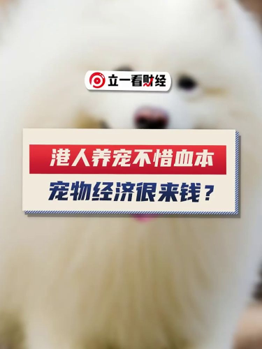 泡财经