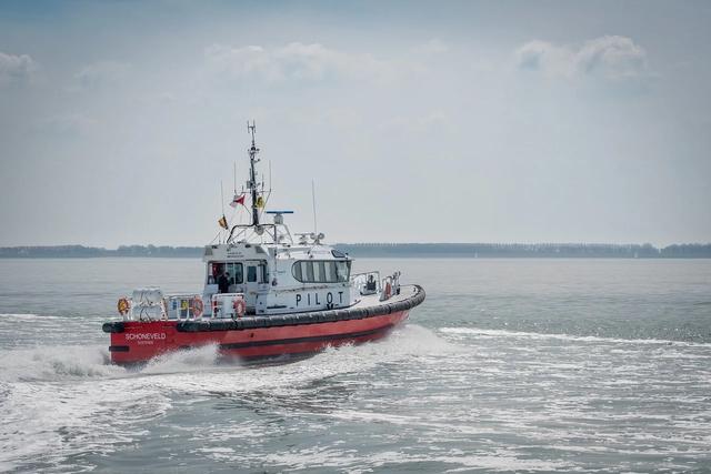 大洋物流IPO终止：原计划募资15亿元，女企业家朱陆枝为实控人