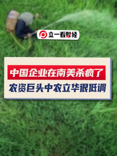 泡财经