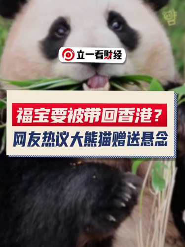 泡财经