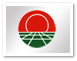 泡财经