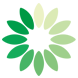 泡财经