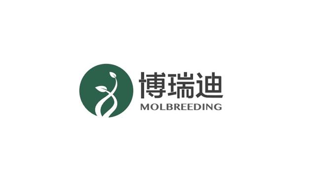 泡财经