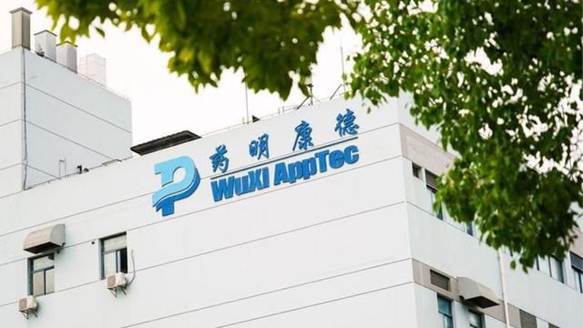 药明康德上半年收入172亿元,新增客户500家,在手订单431亿元