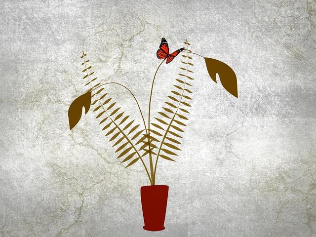 泡财经