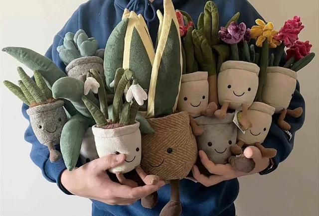 高价收藏泡泡玛特后,年轻人花上万元买Jellycat