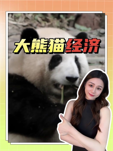 泡财经