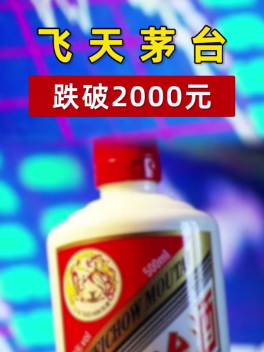 泡财经