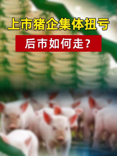 泡财经