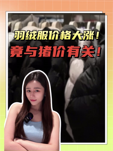 泡财经