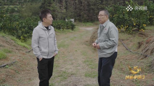 农夫山泉，为何在赣南大山里种了17年树？