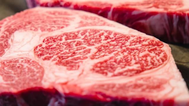 牛肉再这么跌，要破产一大批养殖户了