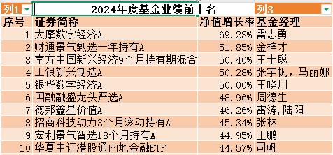 展望2025年A股投资:基金新锐们看好什么?