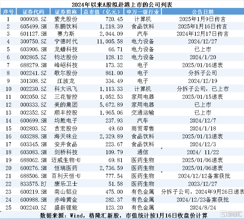 传AI服务器巨头寻求港股上市！