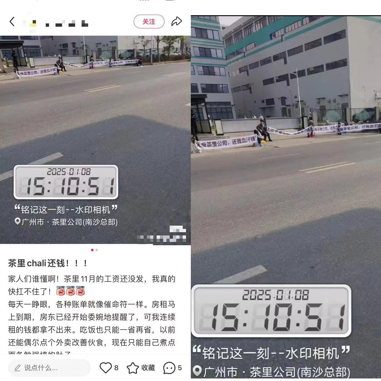 年前再爆“欠薪”，网红品牌茶里被强制执行，遭多家公司起诉