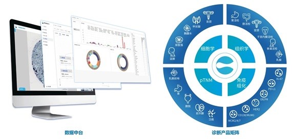 万孚生物参股公司赛维森全面接入DeepSeek大模型，深度赋能“数智”病理