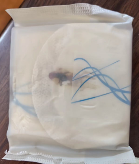 有机程度如此之高？知名有机棉卫生巾品牌惊现虫子！