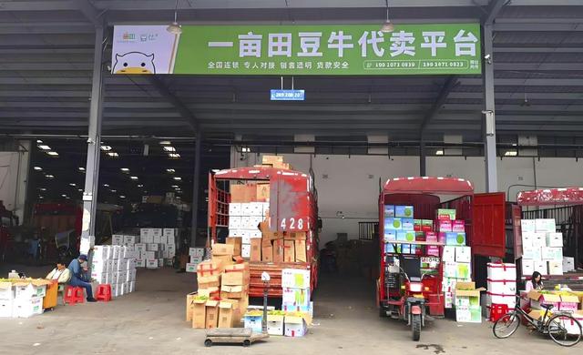 一亩田紧跟步伐赴美上市,农产品B2B巨头能否出圈再腾飞?