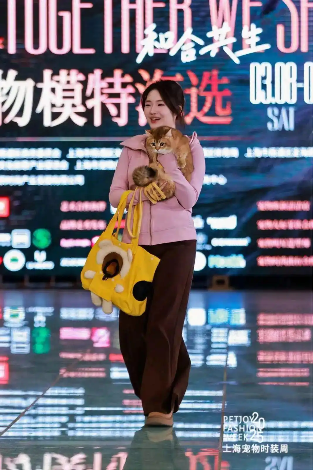 图片13.png