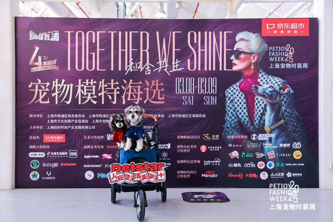 图片19.png