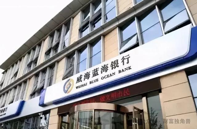 威海蓝海银行:2024 业绩 “腰斩”,高流动性背后暗藏隐忧