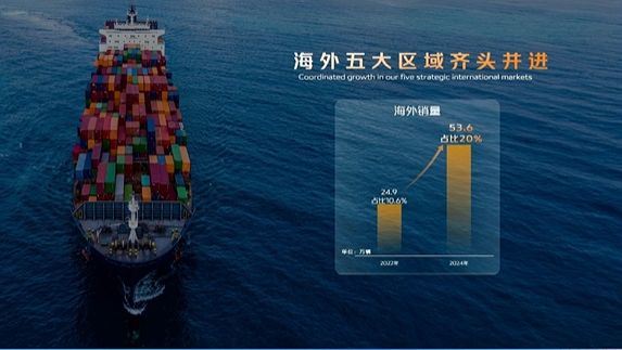 海外占比目标30%.jpg