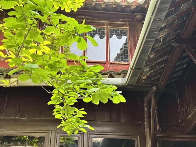 美团闪购对商家坚持行业最短3天账期,主流电商平台最长达近60天