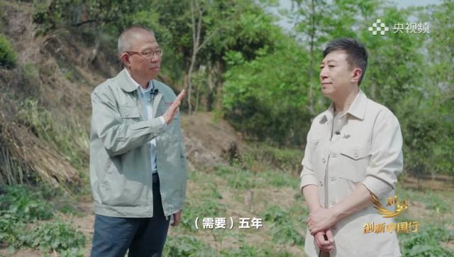 泡财经