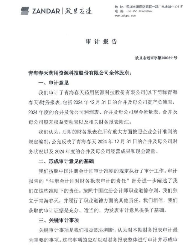 青海春天审计报告.jpg